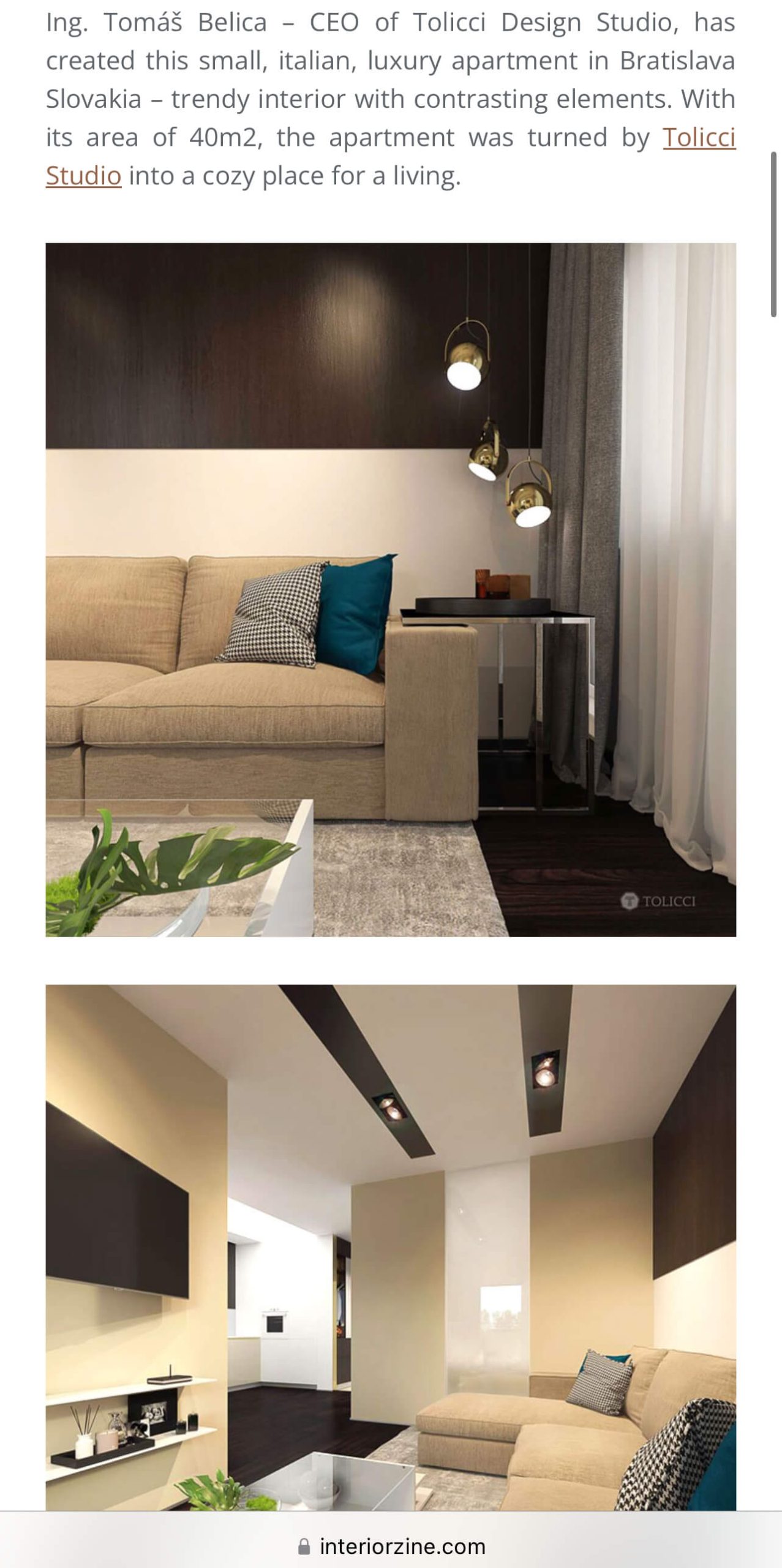 tomas-belica-designer-interiorzine